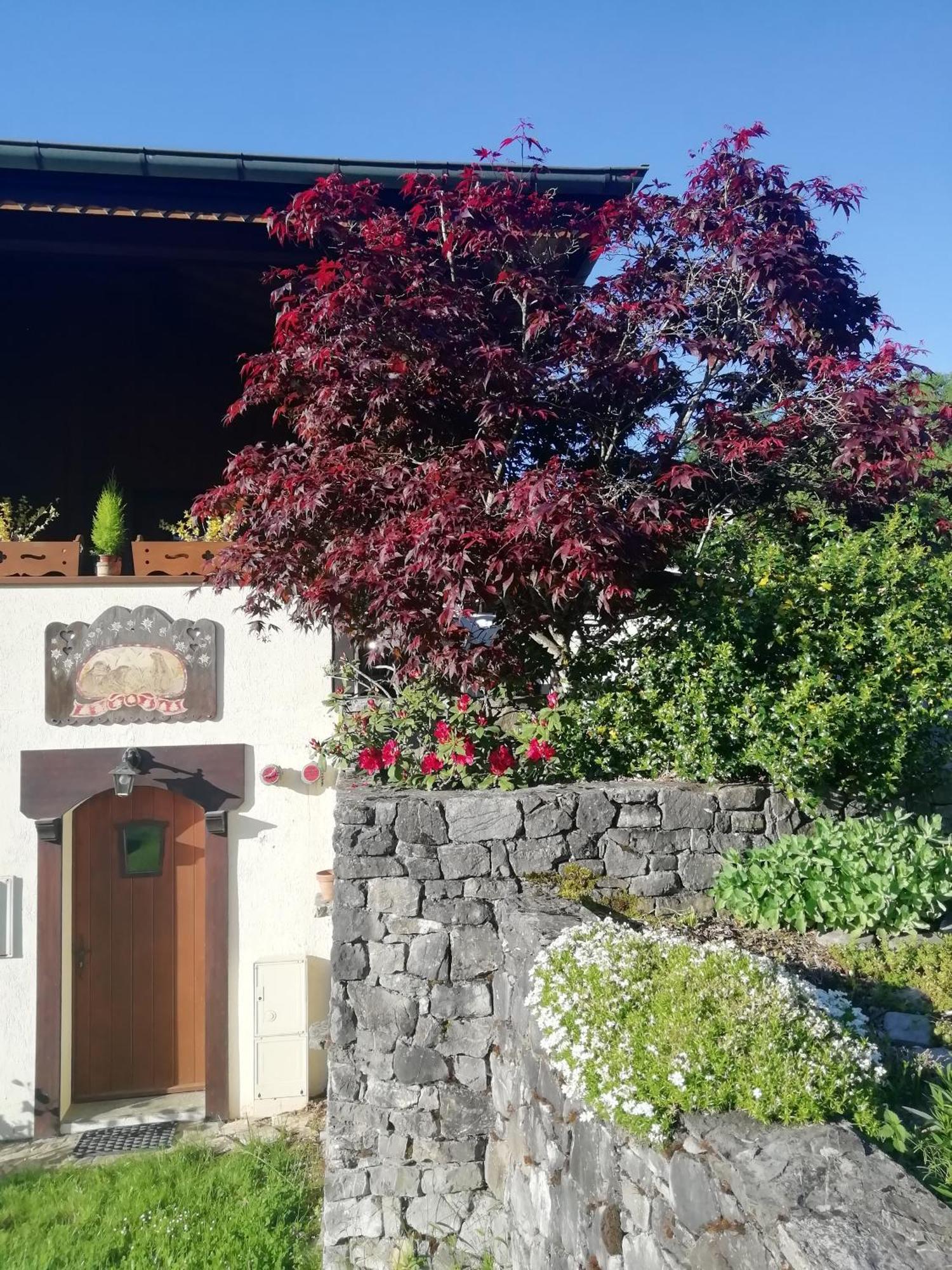 Chambres En Chalet Petit Dejeuner Inclus La Cote d'Arbroz المظهر الخارجي الصورة